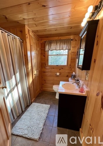 A bathroom with a sink, toilet, and shower.