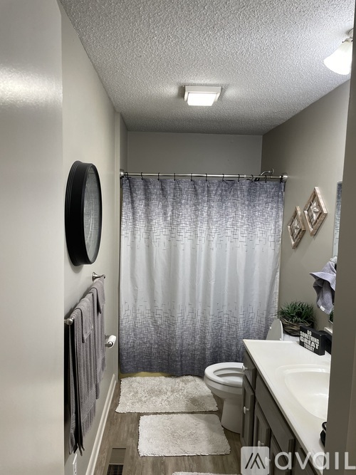 A bathroom with a toilet, sink, and shower curtain.