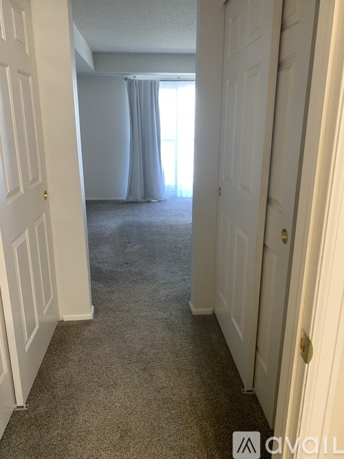 A hallway with carpeted floor and white doors on either side.