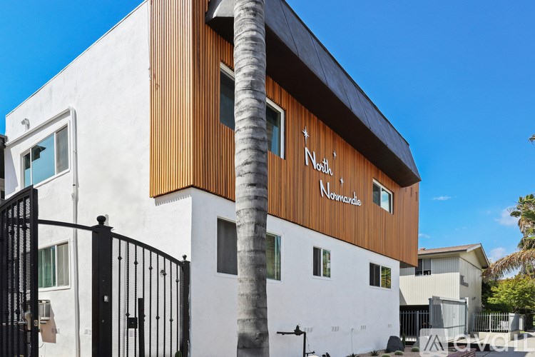 A modern house with a black gate and a palm tree in front.
