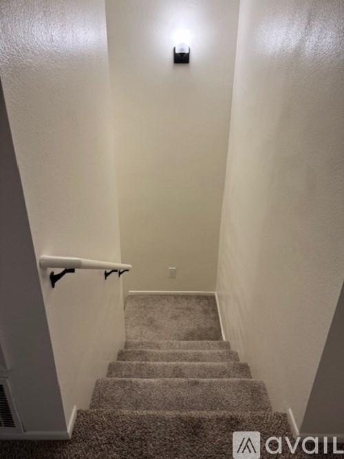 A stairway with a carpeted runner and a white handrail.