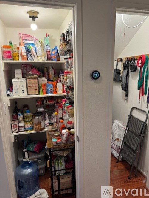 A kitchen pantry with a lot of food items and a blue container on the floor.