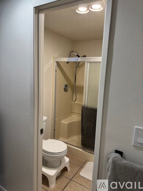 A bathroom with a toilet, a shower, and a towel.