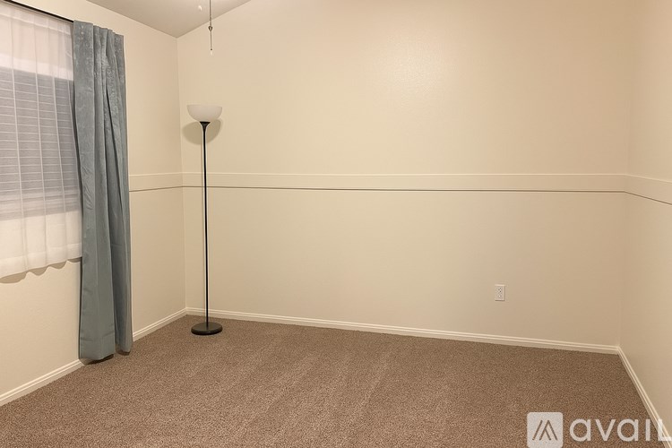A room with a carpeted floor, a single lamp, and a window with curtains.