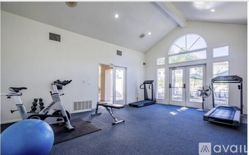 A well-equipped home gym with a variety of exercise machines and a blue exercise ball.
