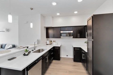 A modern kitchen with black cabinets and stainless steel appliances.
