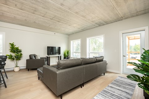 A living room with a grey couch and a television.