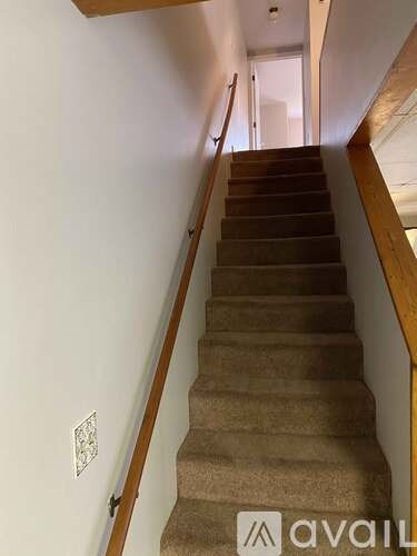 A staircase with a beige carpet and wooden handrails.