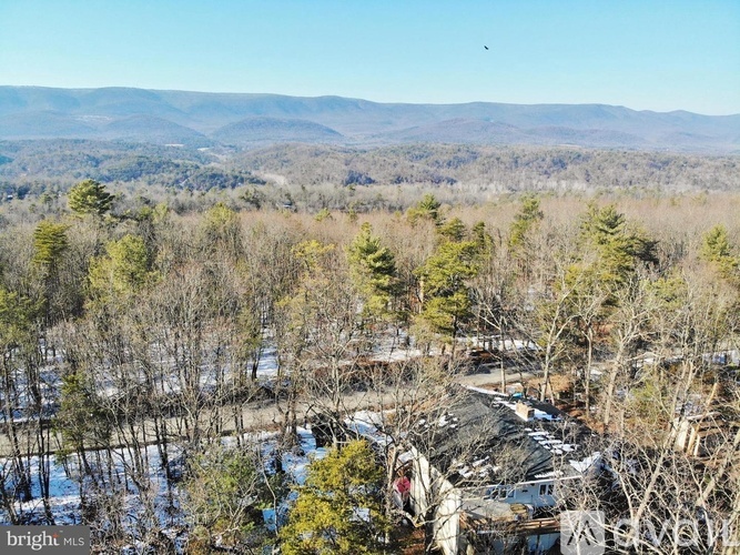 A bird flies over a forest with a mountain range in the distance.