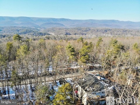 A bird flies over a forest with a mountain range in the distance.