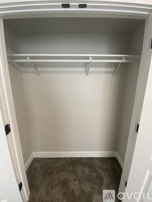 A white closet with a carpeted floor and two shelves.