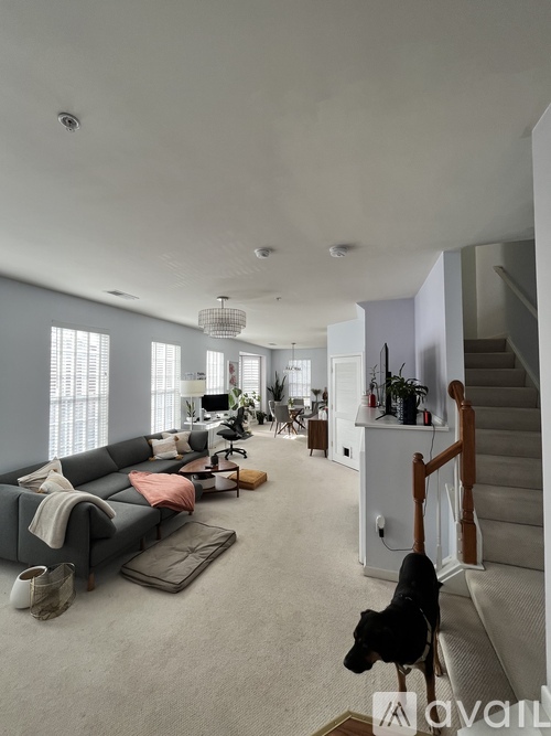 A dog is standing on a carpet in a spacious living room.