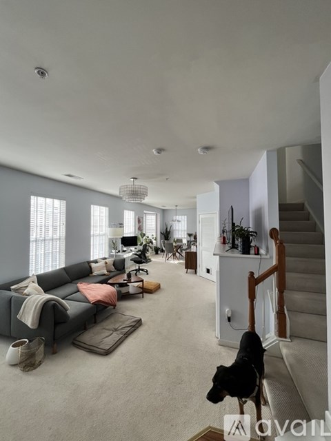 A dog is standing on a carpet in a spacious living room.