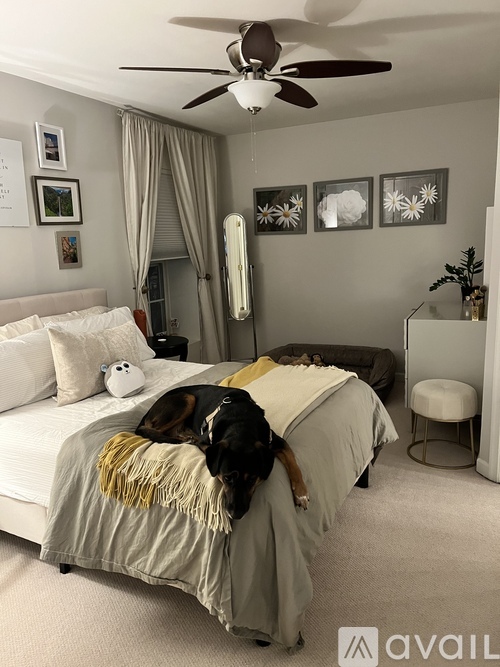 A dog is sleeping on a bed in a bedroom.