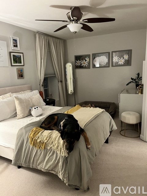 A dog is sleeping on a bed in a bedroom.