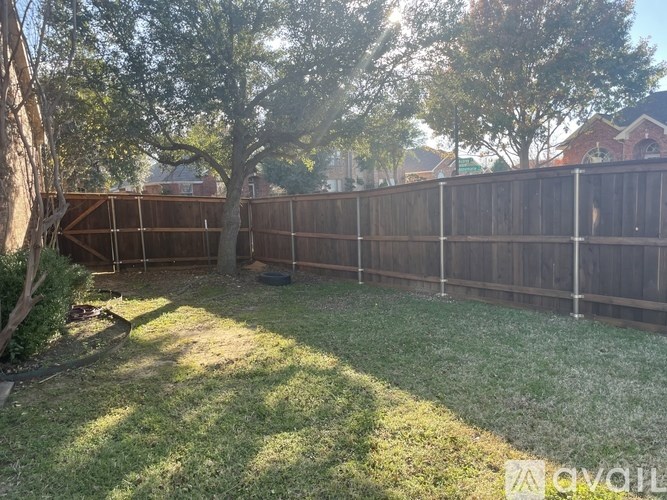 A backyard with a wooden fence and a tree.