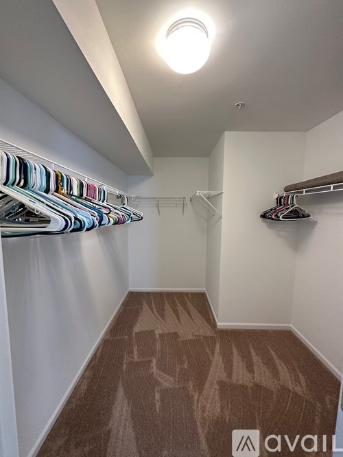 A hallway with a carpeted floor and a row of clothes hanging on a rail.