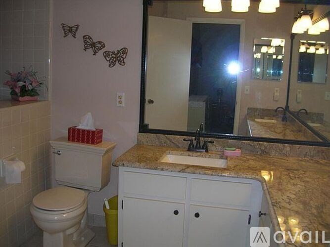 A bathroom with a toilet, sink, and butterfly decorations on the wall.