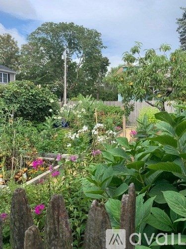 A garden with a wooden fence and flowers.