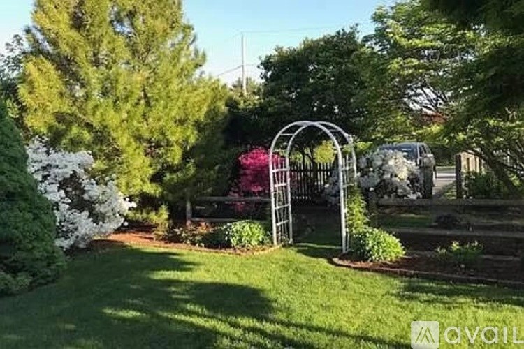 A garden with a white archway and a variety of plants.