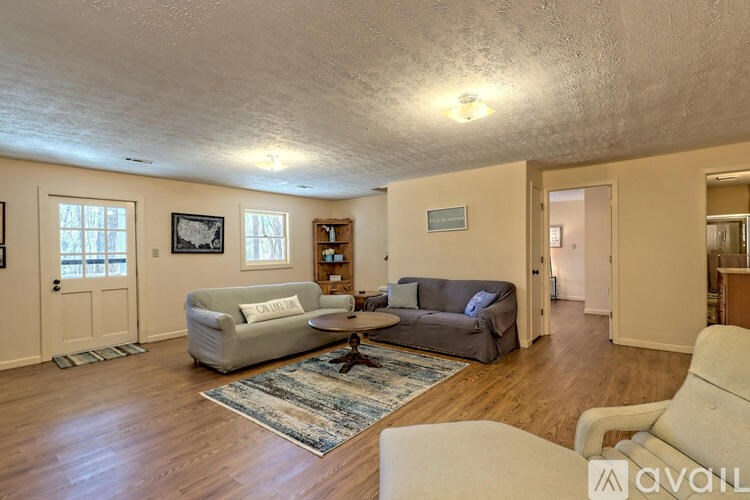 A living room with a couch, chair, and rug.