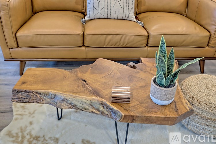A wooden coffee table with a plant and a book on it.