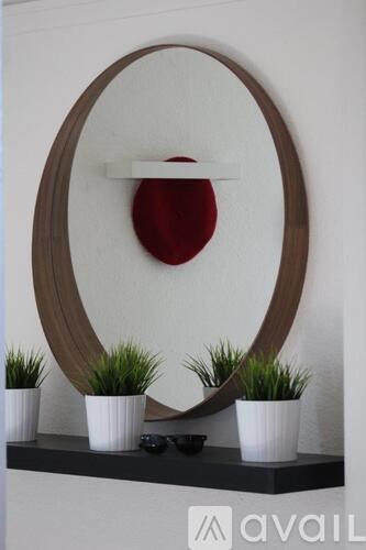 A shelf with a round mirror and three potted plants.