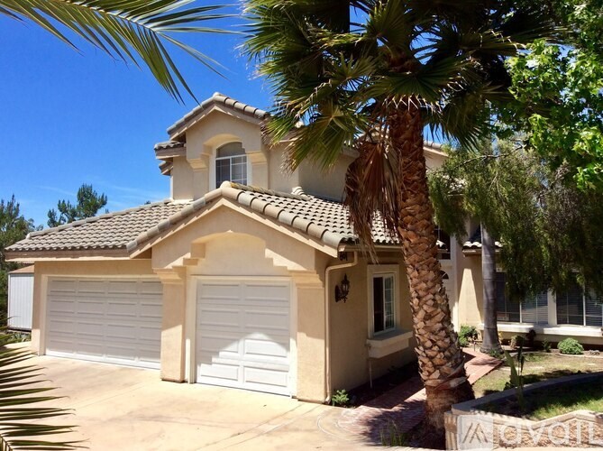 A house with a white garage door and a palm tree in front.