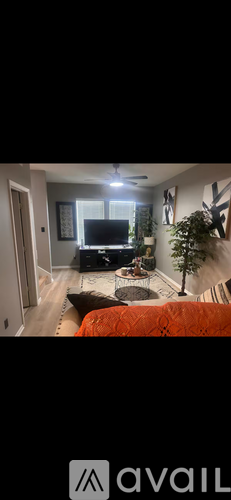 A living room with a couch and a television.