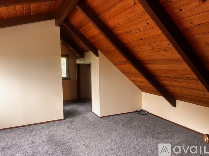 A room with a wooden ceiling and carpeted floor.