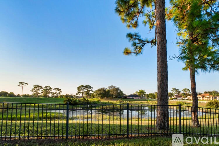 A tall pine tree stands next to a black fence in front of a grassy field.