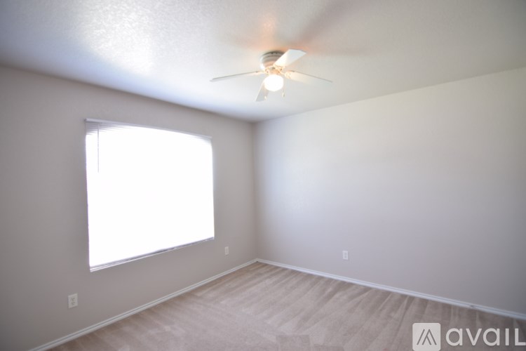 A room with a ceiling fan and a window letting in sunlight.