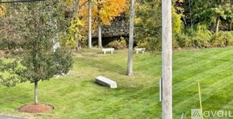 A tree with green leaves is in the middle of a grassy area.