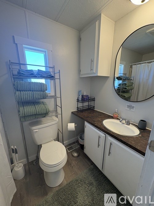 A bathroom with a toilet, sink, and mirror.