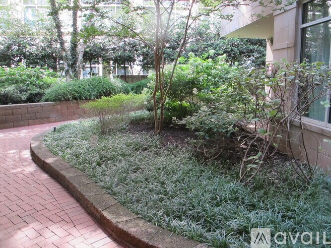 A garden with a brick pathway and a variety of plants.