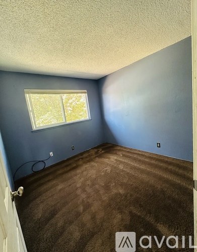 A room with a window and a carpeted floor.