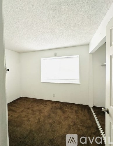 A room with a white door and a brown carpet.