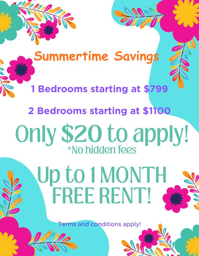 1-bedroom apartment at MACK PARK Apartments in Denton, TX