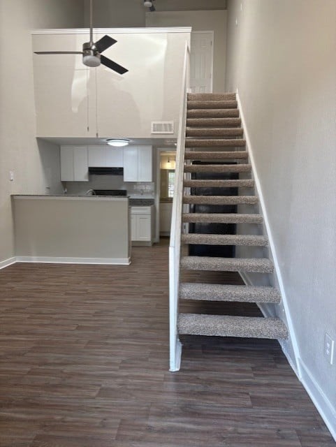 A staircase with a carpeted runner leads up to a kitchen area.