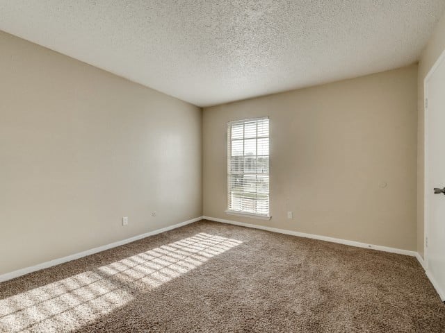 A room with a carpeted floor and a window letting in sunlight.