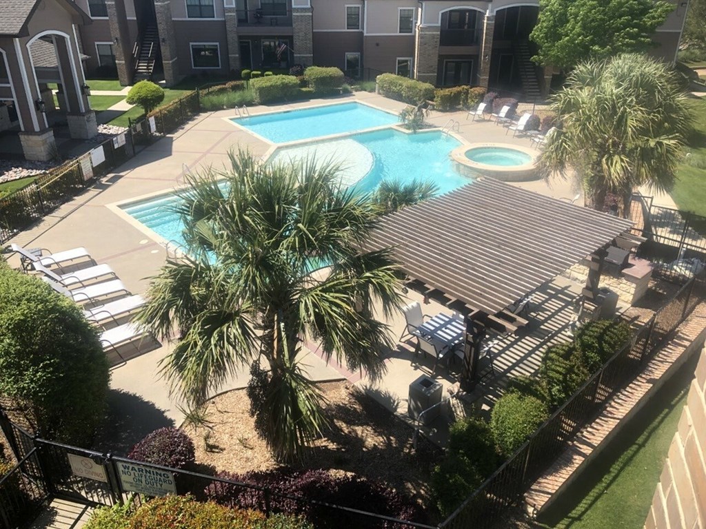 A pool surrounded by palm trees and a patio area.