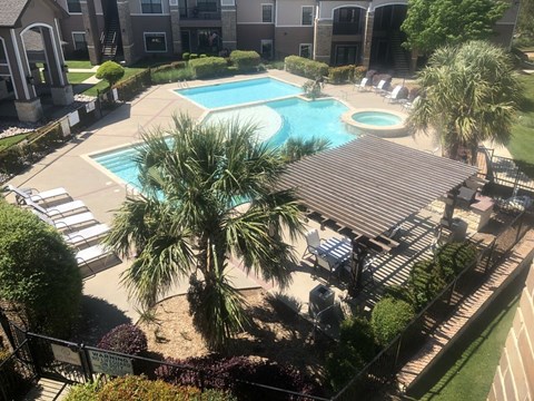 A pool surrounded by palm trees and a patio area.