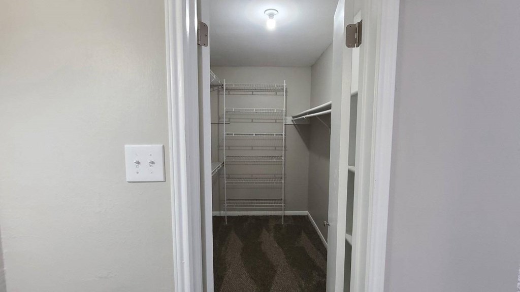 A white door is open to a small walk-in closet.