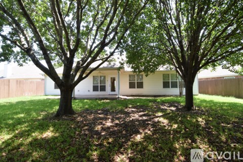 A tree stands in front of a white house.