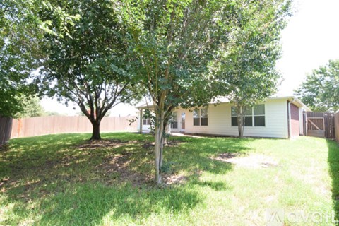 A tree in a yard with a house in the background.