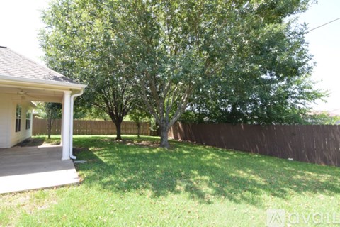 A tree in a yard behind a house.