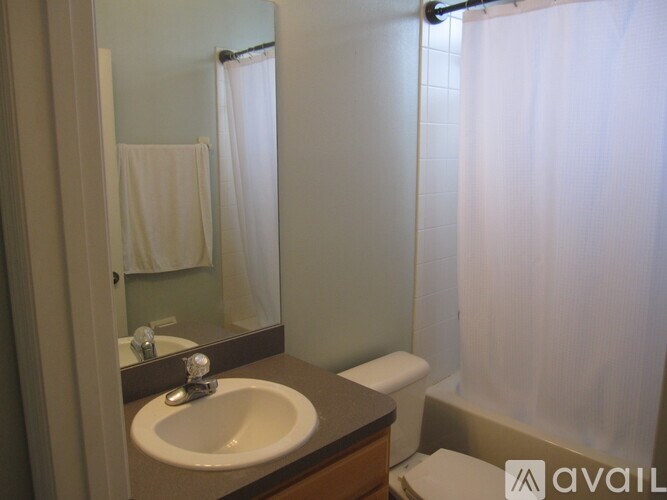 A bathroom with a sink, mirror, toilet and shower curtain.