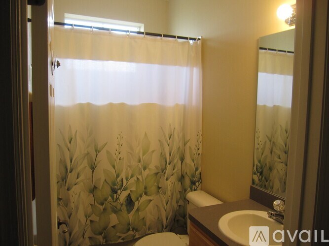 A bathroom with a toilet, sink, and shower curtain.