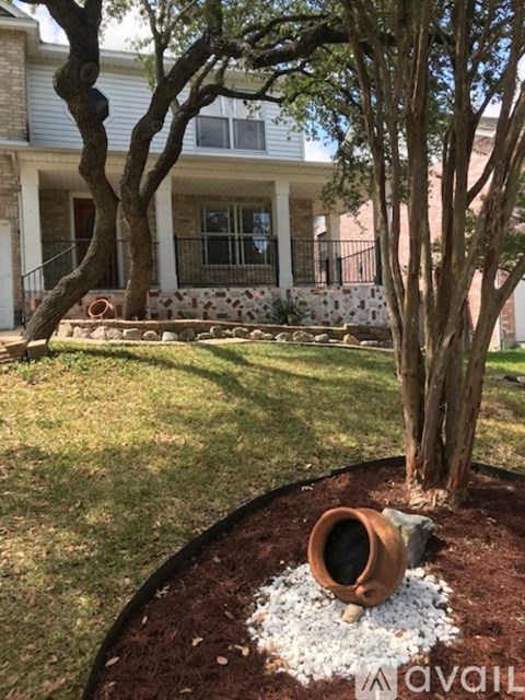 A tree in a garden with a pot on the ground.