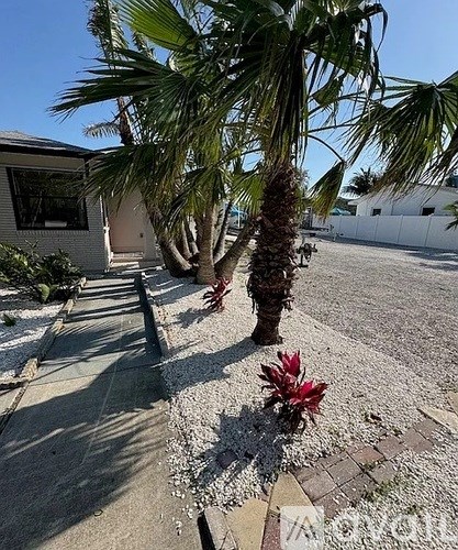A palm tree stands in a driveway with a house in the background.